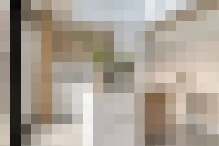 Donkerstraat 32 Wijchen thumbnail 13