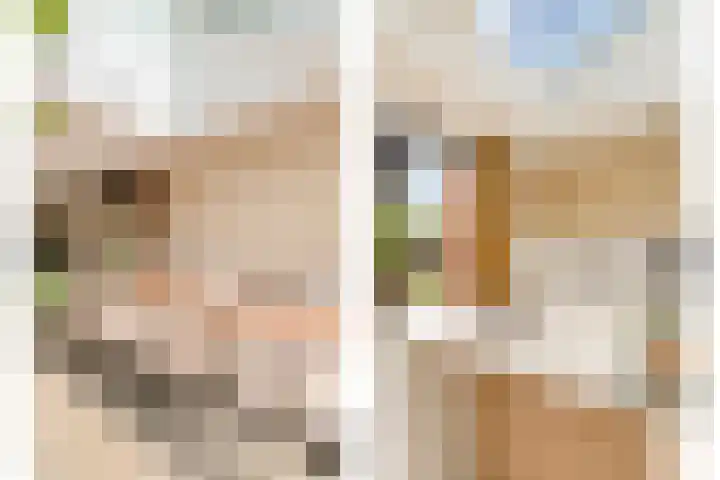 Donkerstraat 32 Wijchen thumbnail 14