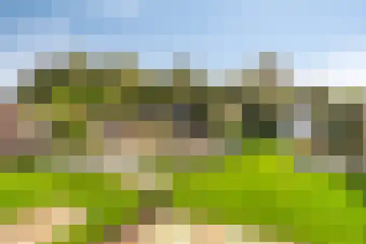 Donkerstraat 32 Wijchen thumbnail 33