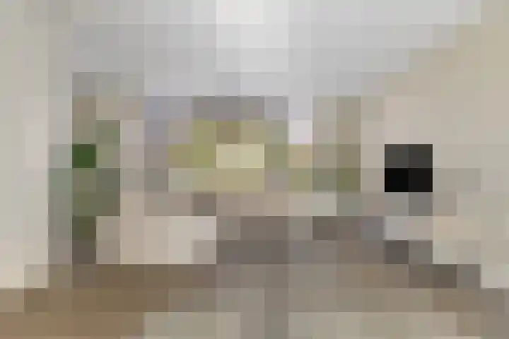 Donkerstraat 32 Wijchen thumbnail 7
