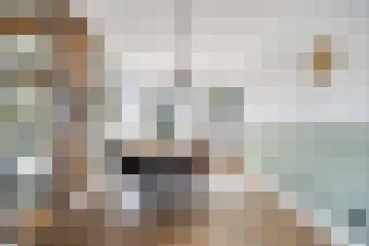 Donkerstraat 40 Wijchen thumbnail 10