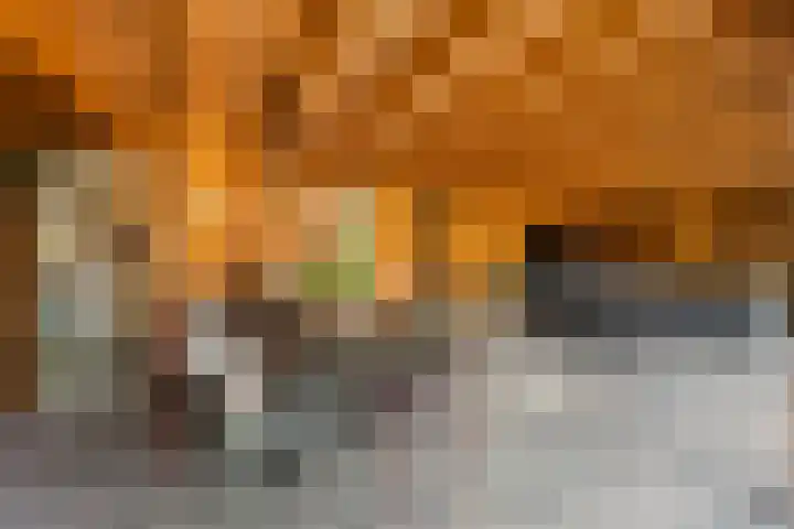 Donkerstraat 40 Wijchen thumbnail 39