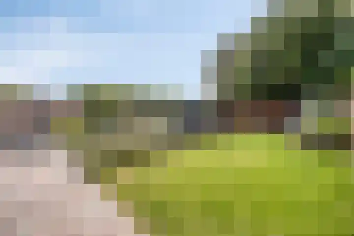 Donkerstraat 40 Wijchen thumbnail 42