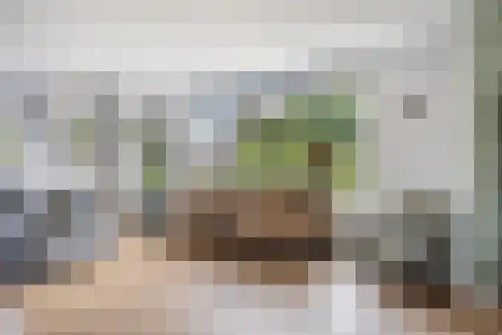 Donkerstraat 40 Wijchen thumbnail 9