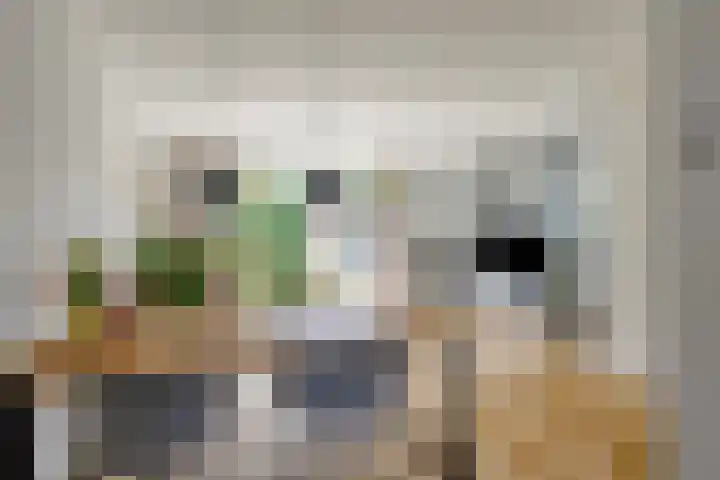 Donkervoortseloop 18 Heesch thumbnail 10