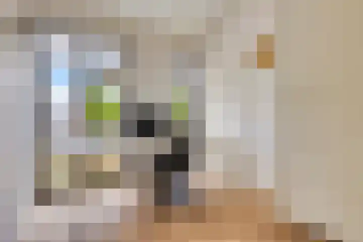 Donkervoortseloop 18 Heesch thumbnail 15