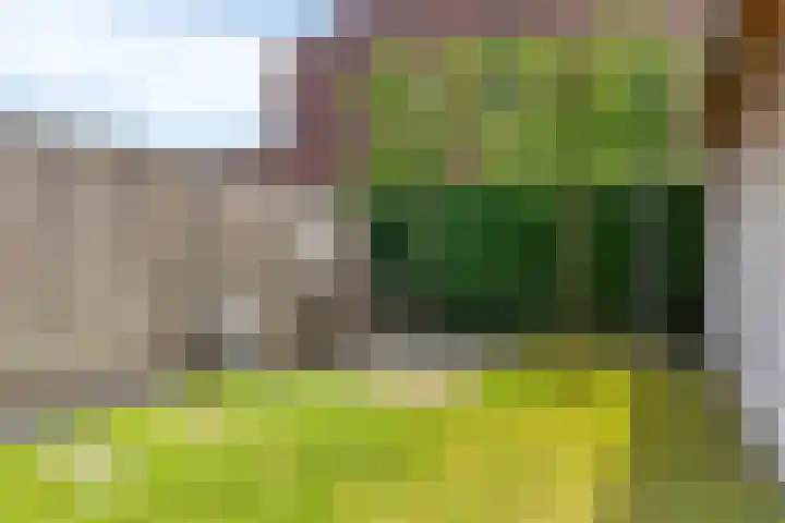 Donkervoortseloop 18 Heesch thumbnail 23