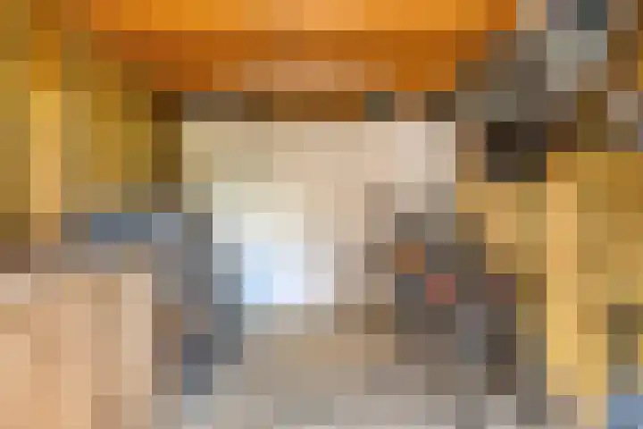 Donkervoortseloop 18 Heesch thumbnail 26