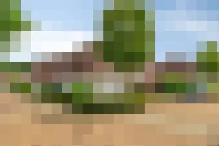 Donkervoortseloop 18 Heesch thumbnail 27