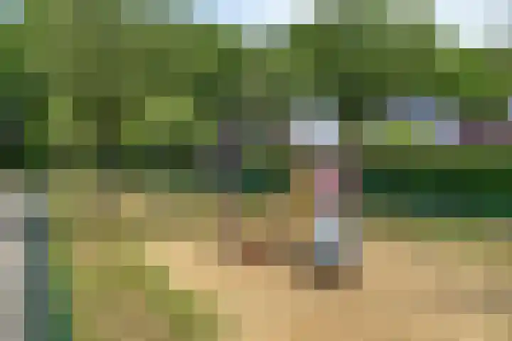 Donkervoortseloop 18 Heesch thumbnail 29