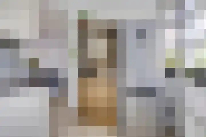 Donkervoortseloop 9 Heesch thumbnail 13