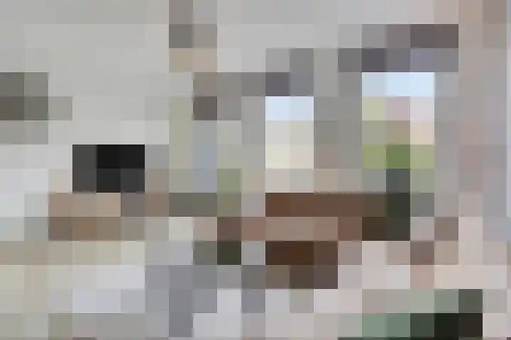 Donkervoortseloop 9 Heesch thumbnail 17