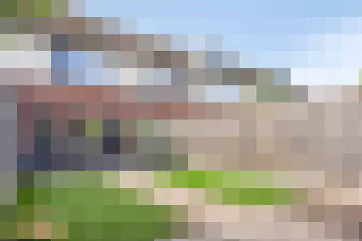 Donkervoortseloop 9 Heesch thumbnail 22