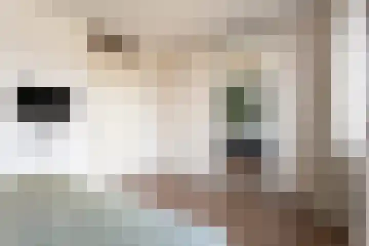 Donkervoortseloop 9 Heesch thumbnail 24