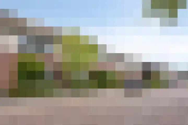 Donkervoortseloop 9 Heesch thumbnail 32