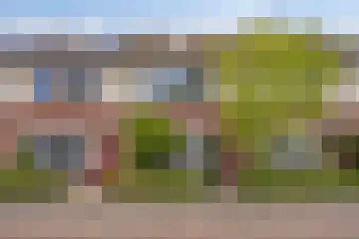 Donkervoortseloop 9 Heesch thumbnail 39