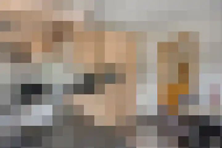 Donkstraat 2 c Meterik thumbnail 23