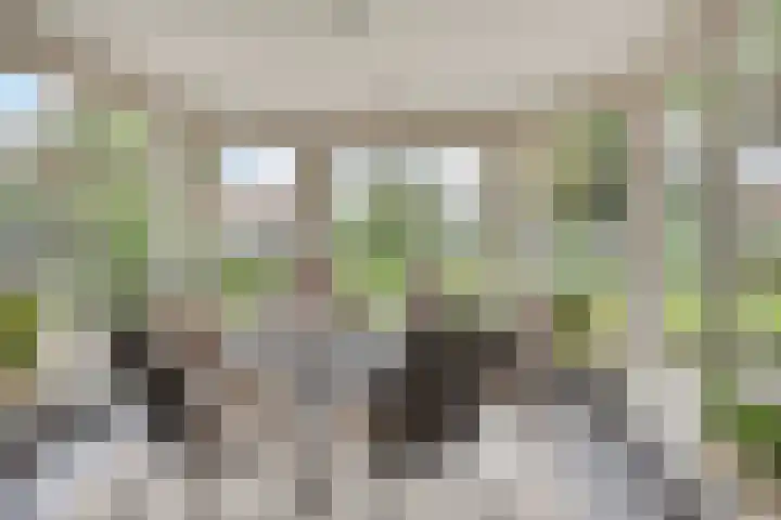 Donkstraat 2 c Meterik thumbnail 26