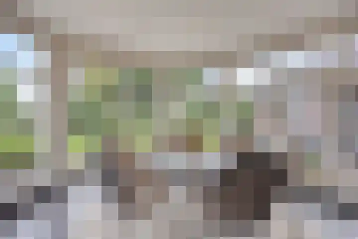 Donkstraat 2 c Meterik thumbnail 27