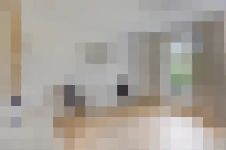 Donkstraat 2 c Meterik thumbnail 35