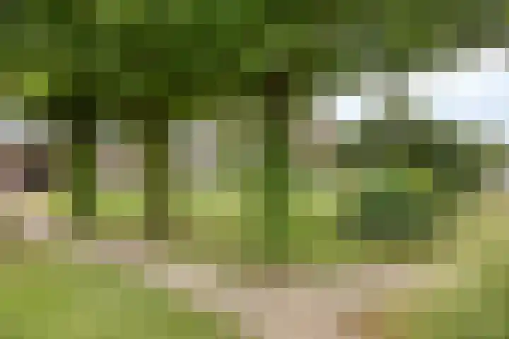 Donkstraat 2 c Meterik thumbnail 64