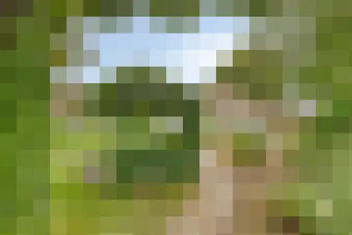 Donkstraat 2 c Meterik thumbnail 65