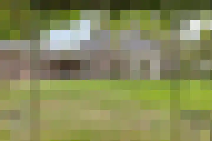 Donkstraat 2 c Meterik thumbnail 66