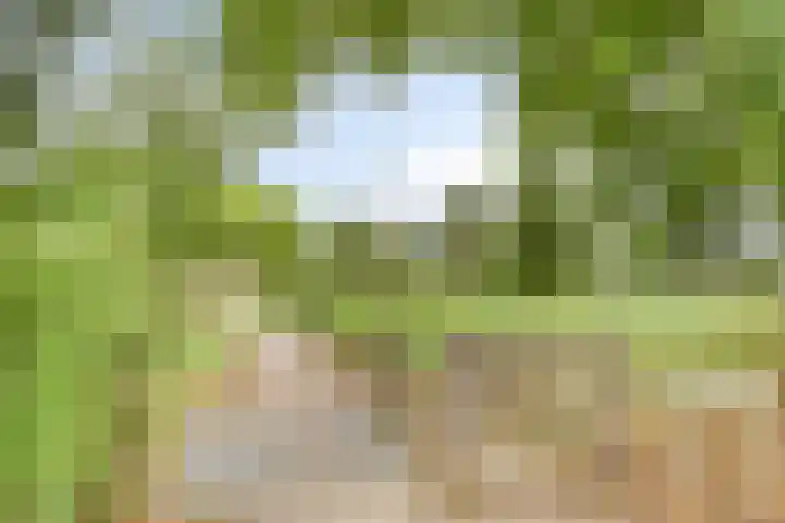 Donkstraat 2 c Meterik thumbnail 69
