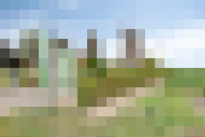 Donkstraat 2 c Meterik thumbnail 71