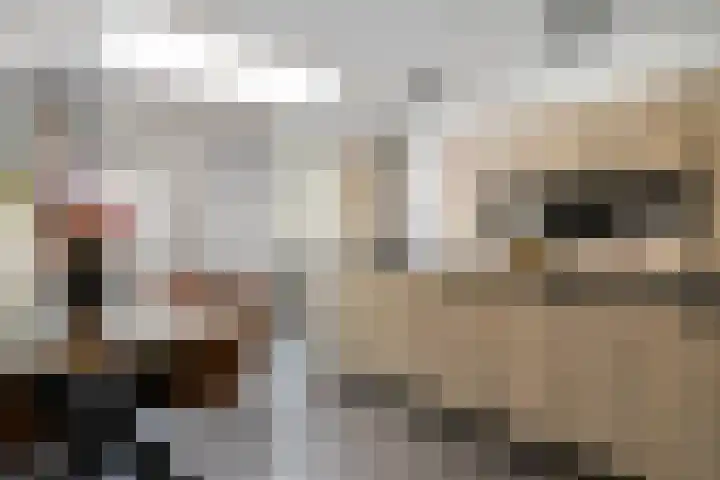 Donkweg 7 Venray thumbnail 10