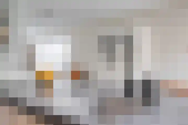 Donkweg 7 Venray thumbnail 13