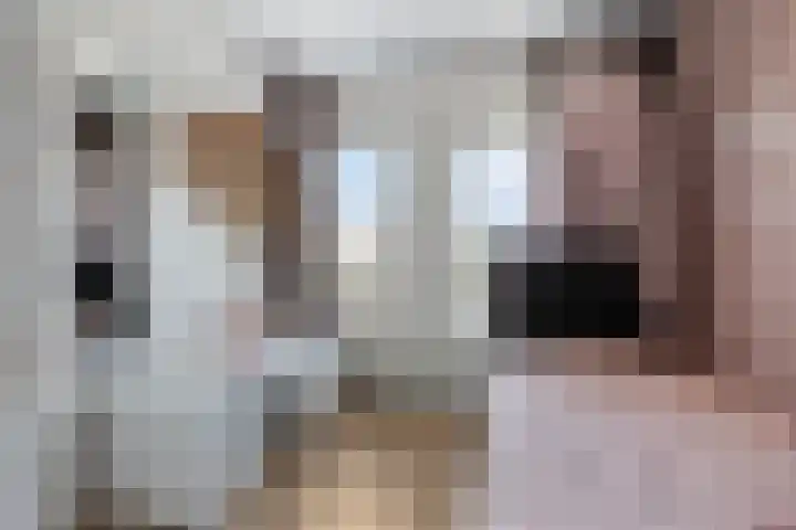 Donkweg 7 Venray thumbnail 23
