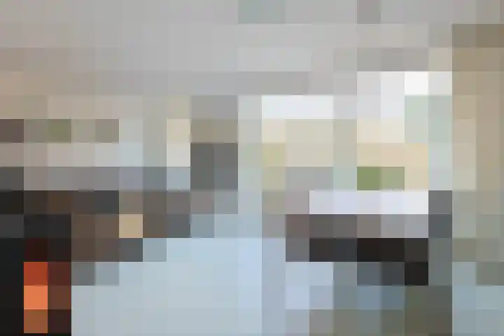 Donsvlinder 50 Leiden thumbnail 11