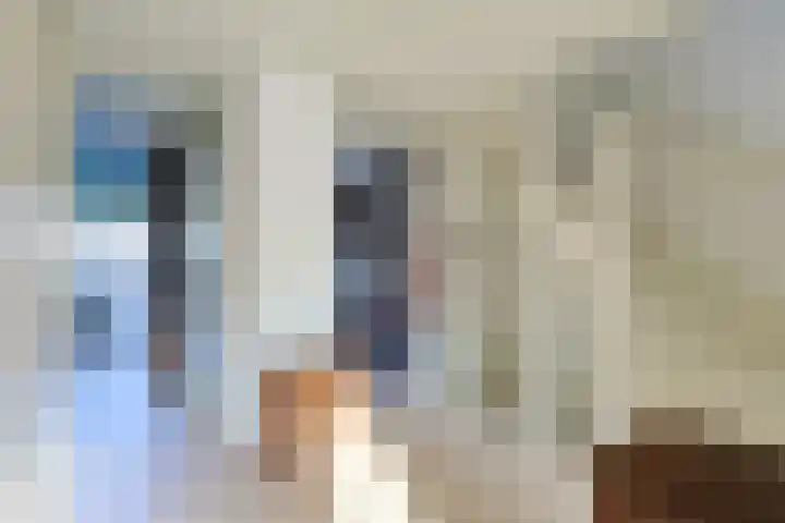 Donsvlinder 50 Leiden thumbnail 15