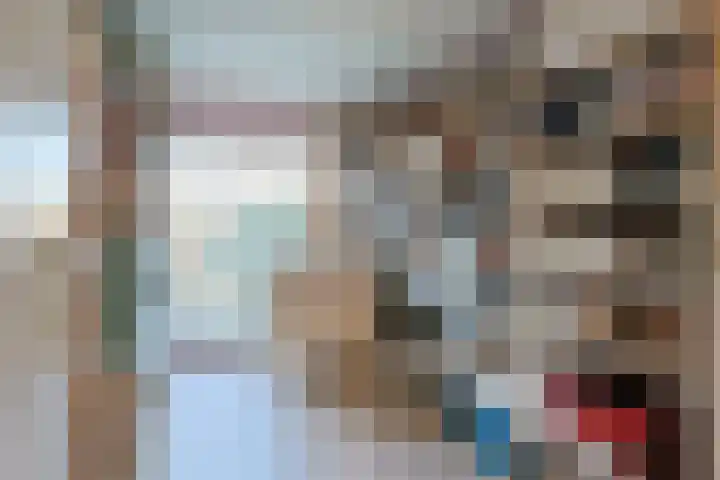 Donsvlinder 50 Leiden thumbnail 19