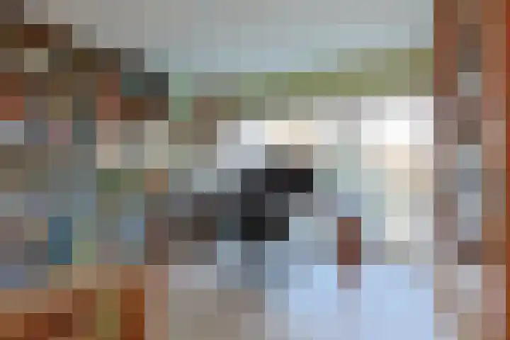 Donsvlinder 50 Leiden thumbnail 20