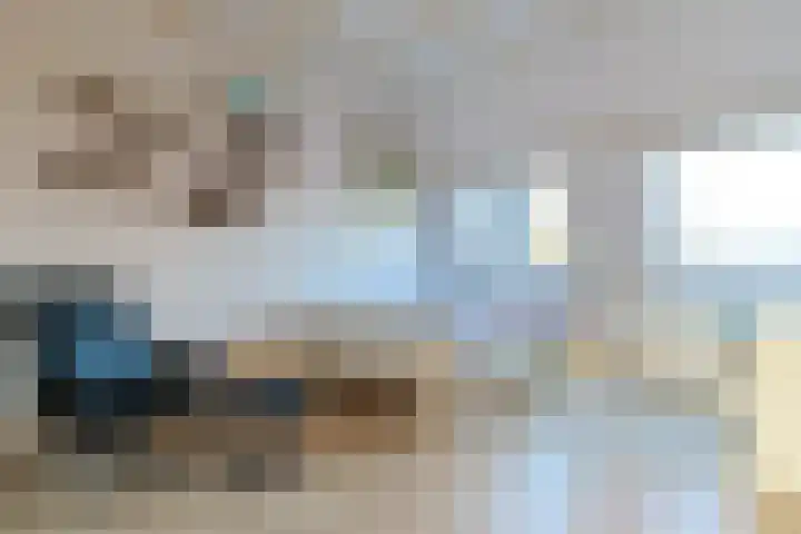 Donsvlinder 50 Leiden thumbnail 27