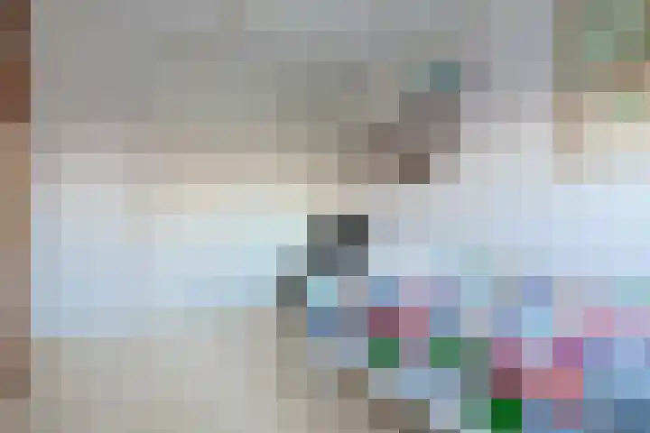 Donsvlinder 50 Leiden thumbnail 28