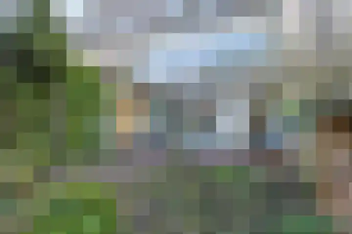 Donsvlinder 50 Leiden thumbnail 30