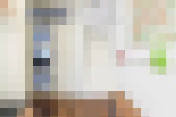 Donsvlinder 50 Leiden thumbnail 5