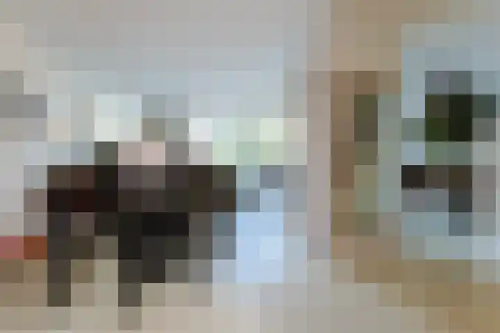 Donsvlinder 50 Leiden thumbnail 8