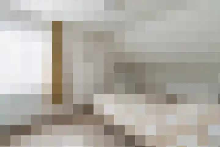 Doolandweg 38 Bladel thumbnail 13