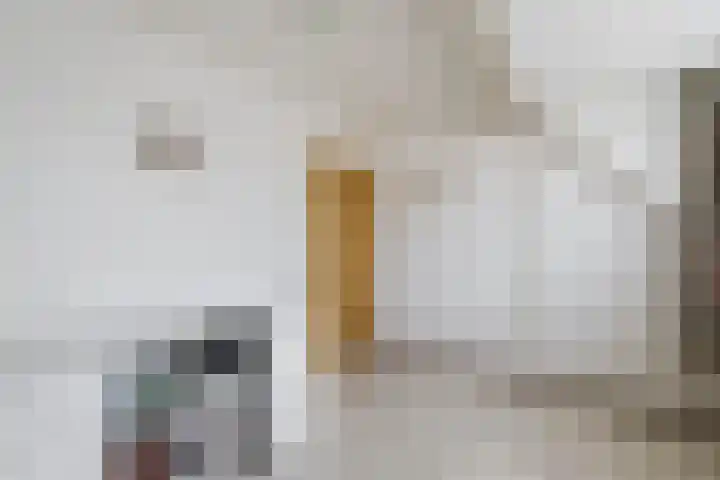 Doolandweg 38 Bladel thumbnail 21