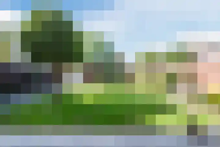Doolandweg 38 Bladel thumbnail 23