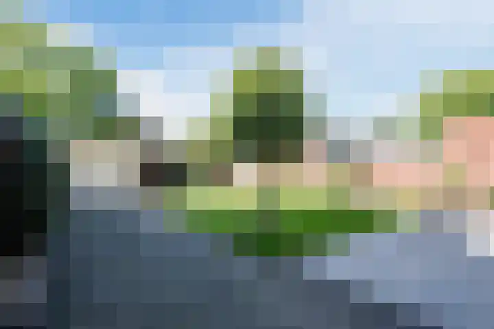 Doolandweg 38 Bladel thumbnail 24