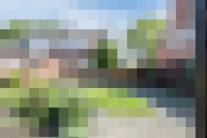 Doolandweg 38 Bladel thumbnail 25