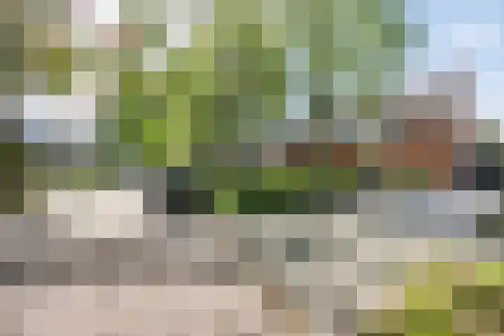 Doolandweg 38 Bladel thumbnail 28