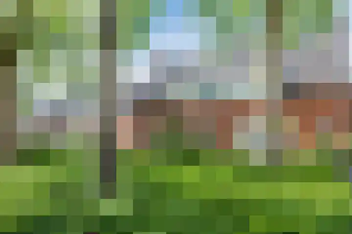 Doolandweg 38 Bladel thumbnail 30
