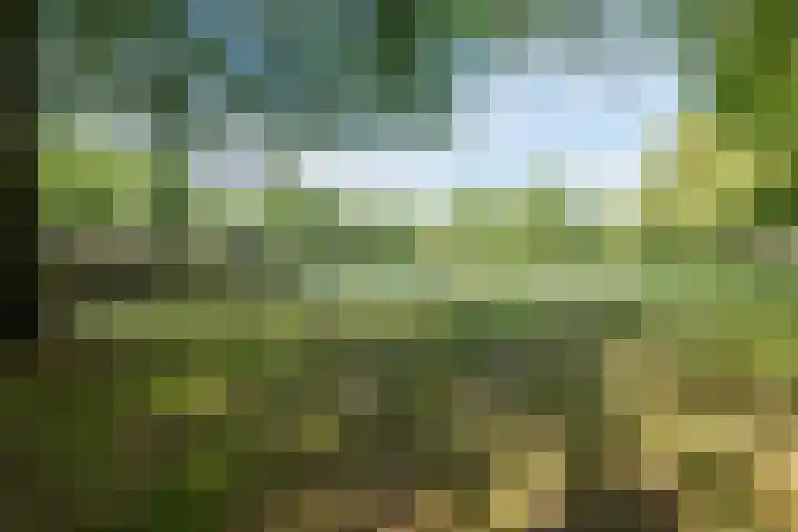 Doolandweg 38 Bladel thumbnail 34