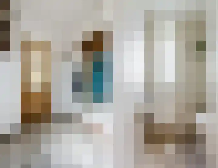 Doolandweg 38 Bladel thumbnail 4